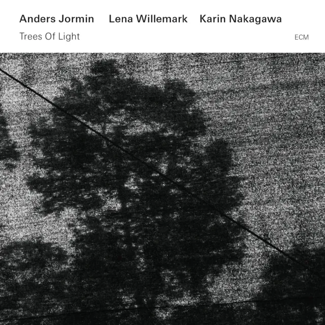 ecm-records-trees-of-light-cd-anders-jormin-mit-lena-willemark image 1