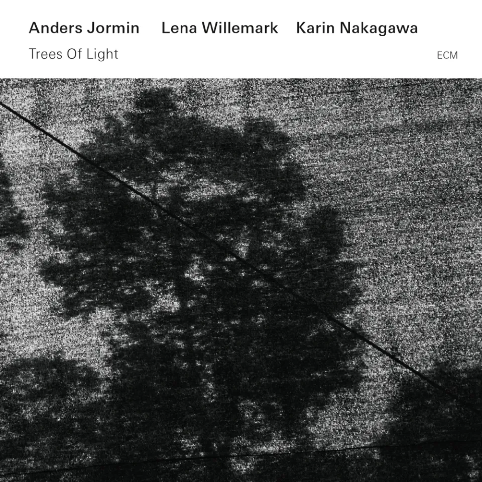 ecm-records-trees-of-light-cd-anders-jormin-mit-lena-willemark image 1