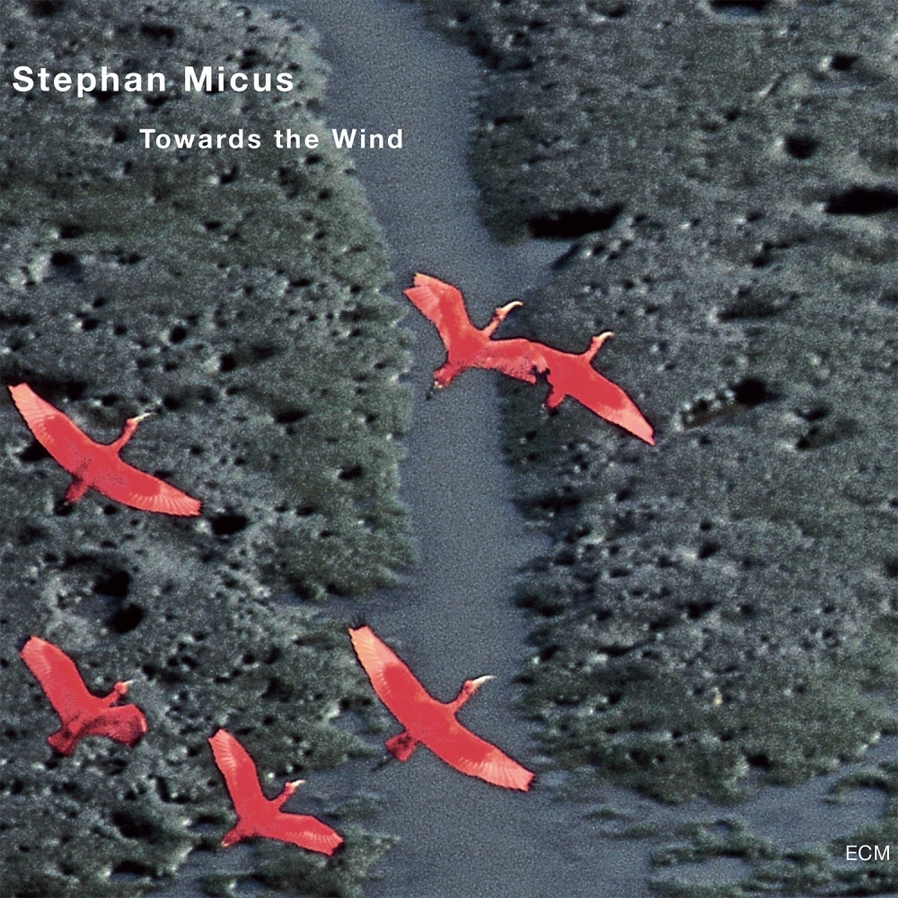 ecm-records-towards-the-wind-stephan-micus-solo-cd-mit-duduk image 1