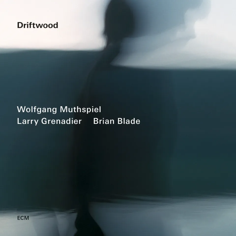 ecm-records-driftwood-wolfgang-muthspiel-trio-jazz-album image 1