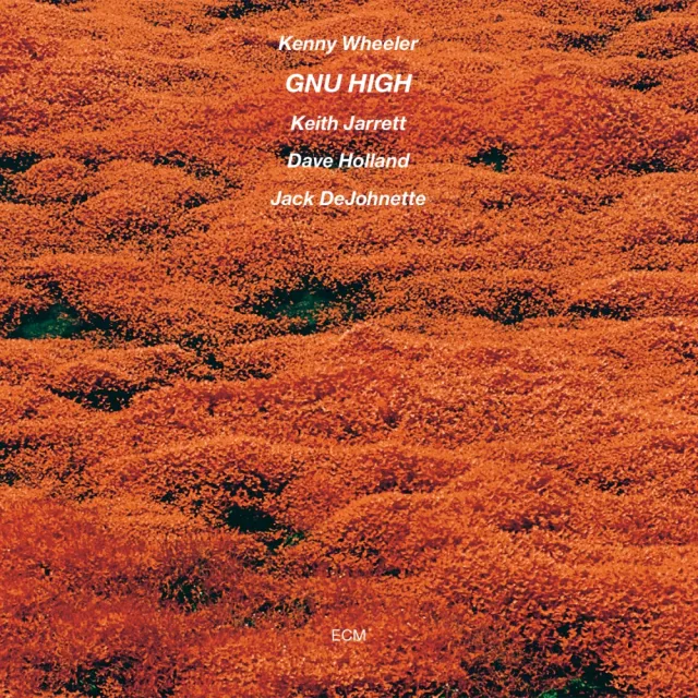 ecm-records-gnu-high-kenny-wheeler-luminessence-vinyl-lp-audiophile-reissue image 1