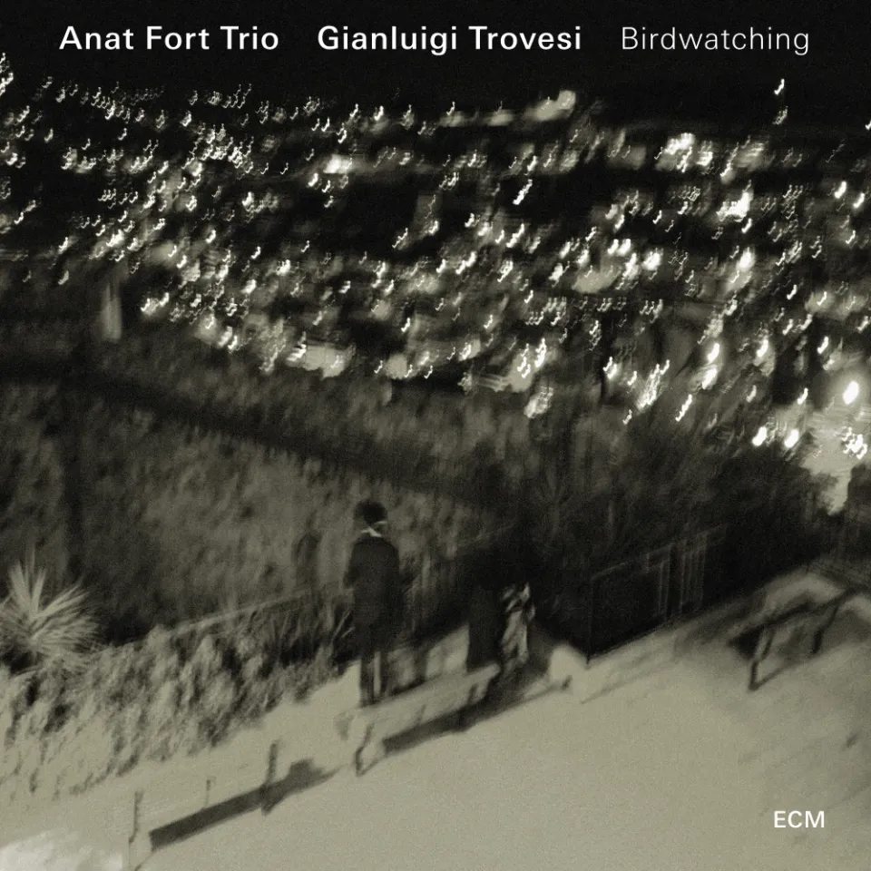 ecm-records-anat-fort-birdwatching-mit-gianluigi-trovesi-piano-jazz-cd image 1