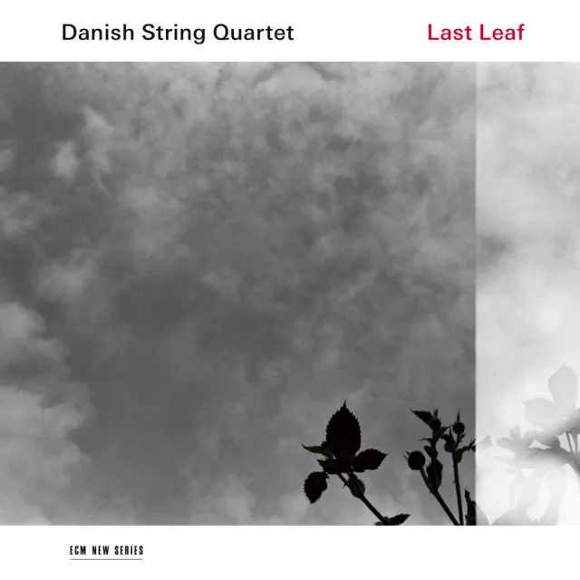 ecm-records-last-leaf-cd-des-danish-string-quartet image 1
