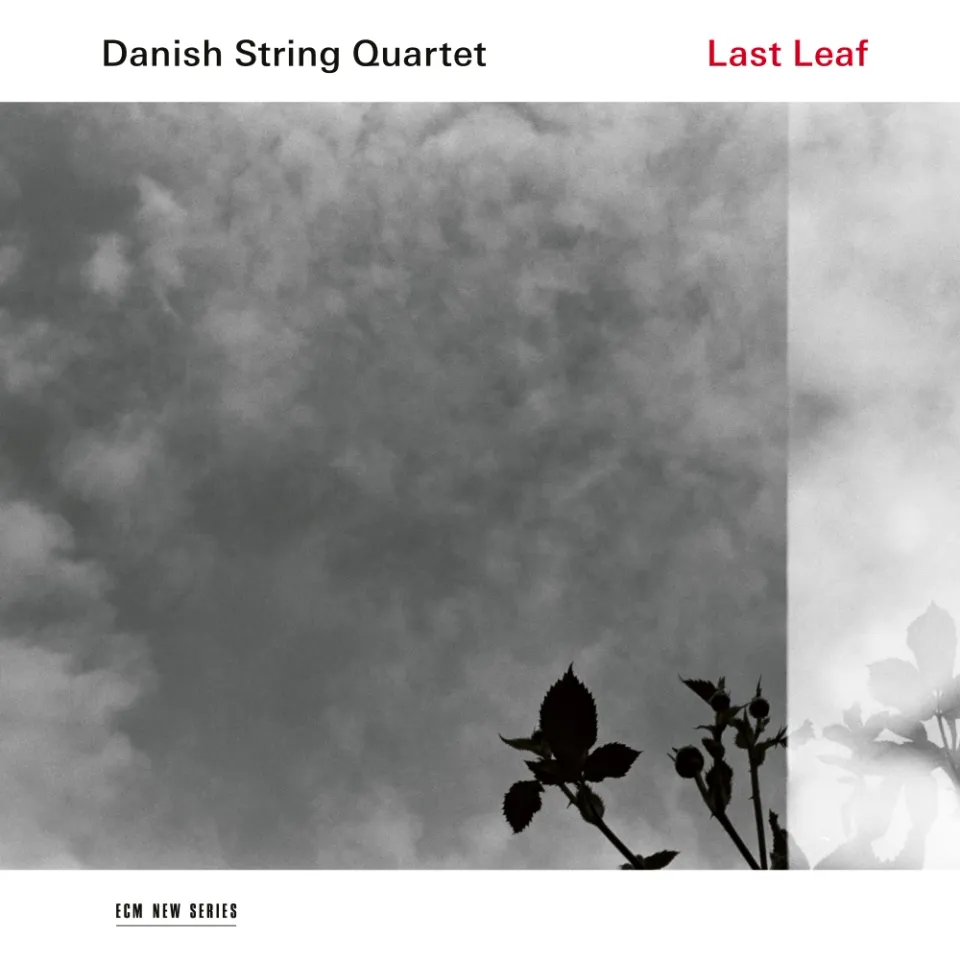 ecm-records-last-leaf-cd-des-danish-string-quartet image 1