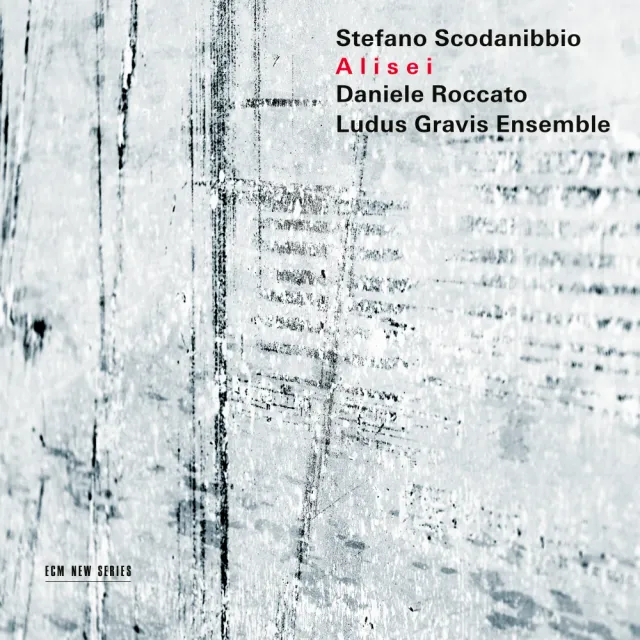 ecm-new-series-stefano-scodanibbio-alisei-kontrabass-cd image 1