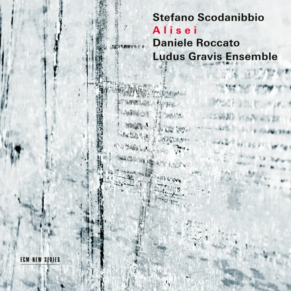 ecm-new-series-stefano-scodanibbio-alisei-kontrabass-cd image 1