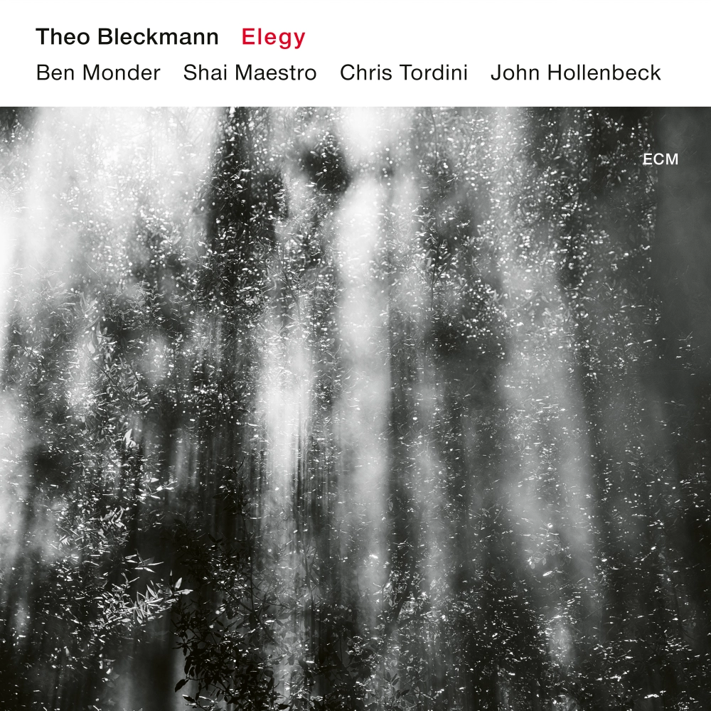 ecm-records-theo-bleckmann-elegy-cd image 1