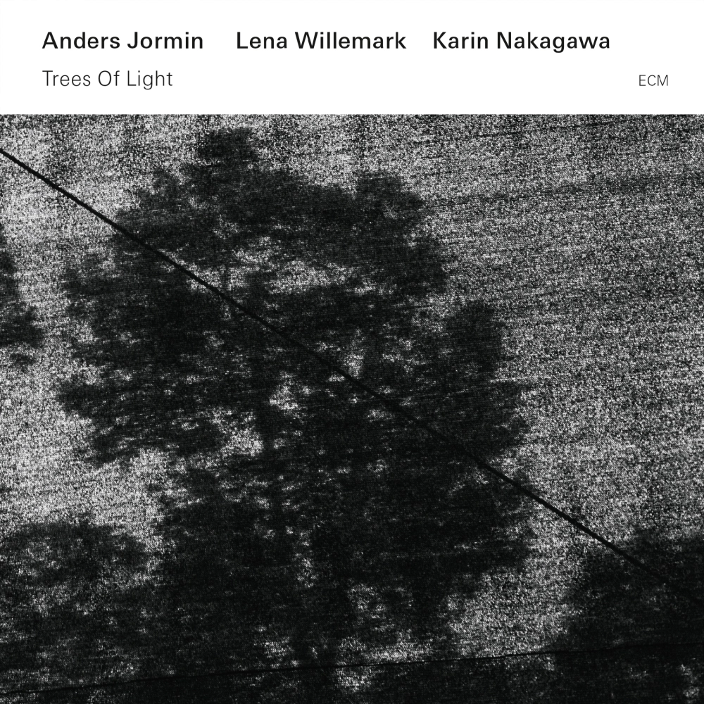 ecm-records-trees-of-light-cd-anders-jormin-mit-lena-willemark image 1