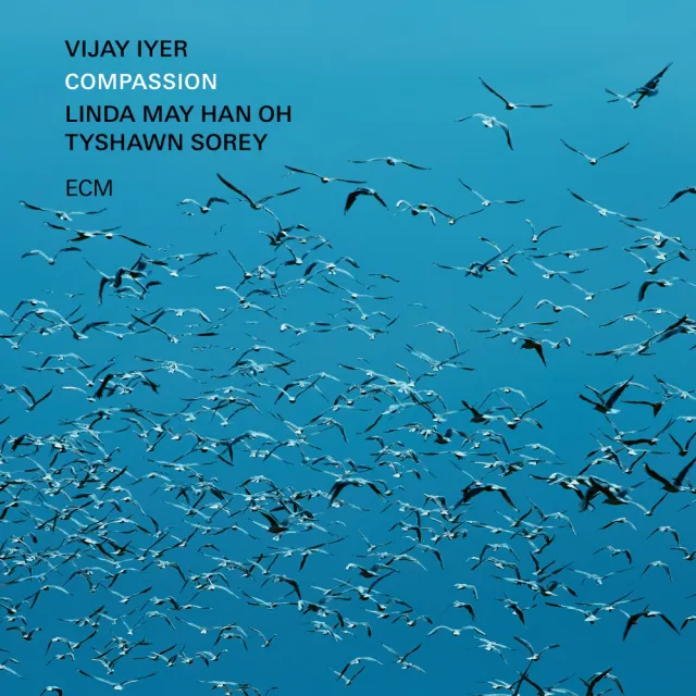 ecm-records-compassion-cd-vijay-iyer-trio-album image 1