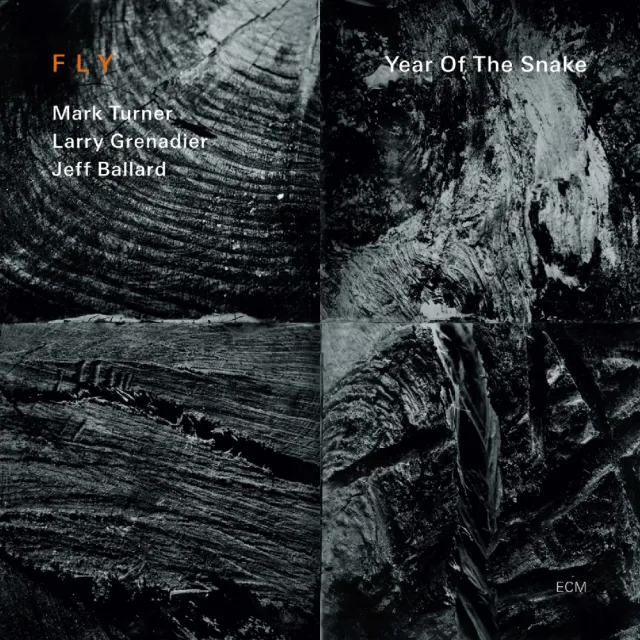 ecm-records-year-of-the-snake-von-fly-mark-turner-sax-bass-drums-trio-cd image 1
