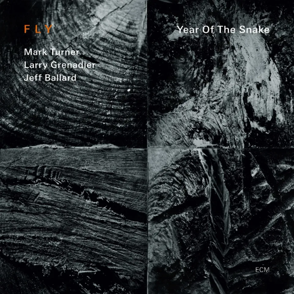 ecm-records-year-of-the-snake-von-fly-mark-turner-sax-bass-drums-trio-cd image 1