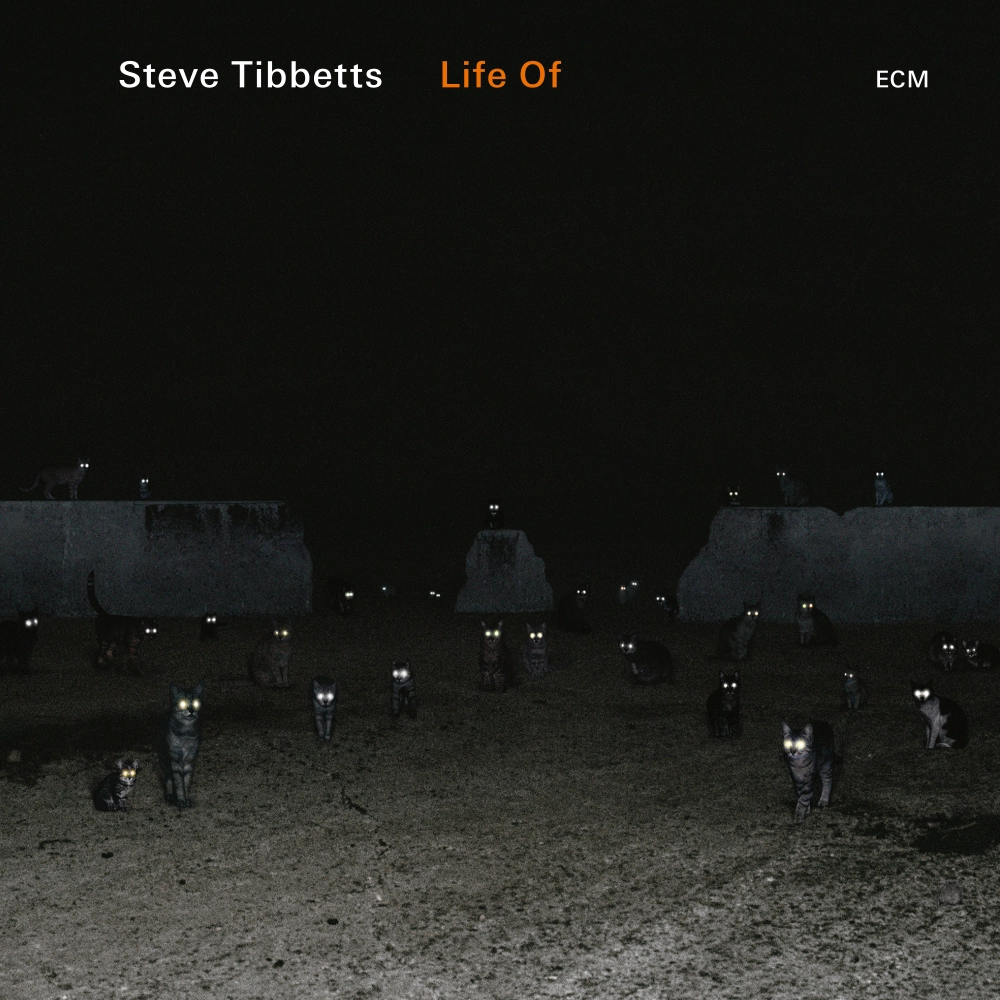 ecm-records-life-of-cd-steve-tibbetts image 1