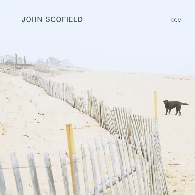 ecm-records-john-scofield-solo-gitarre-loop-machine-cd-album image 1