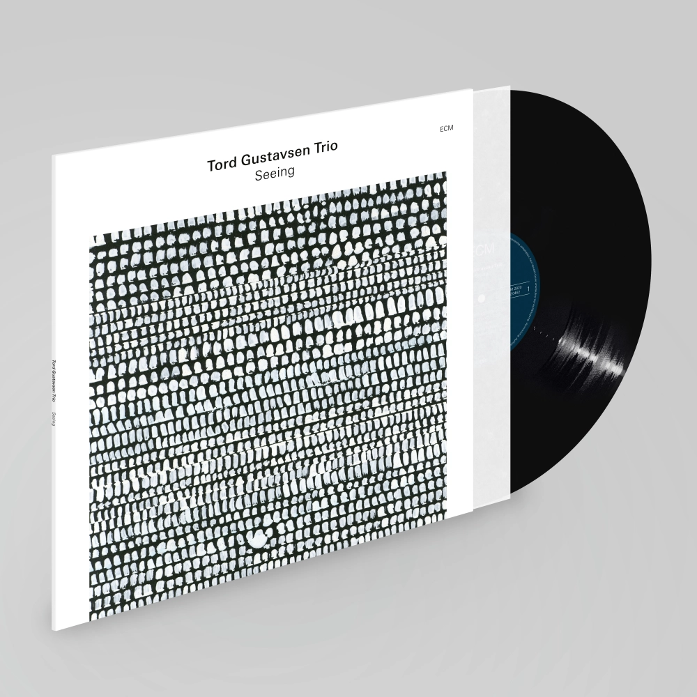 ecm-records-seeing-tord-gustavsen-trio-jazz-cd-album image 2