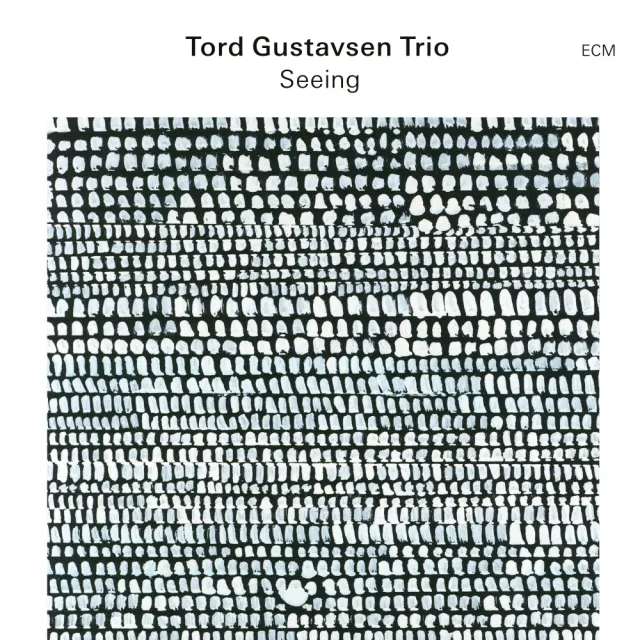 ecm-records-seeing-tord-gustavsen-trio-jazz-cd-album image 1