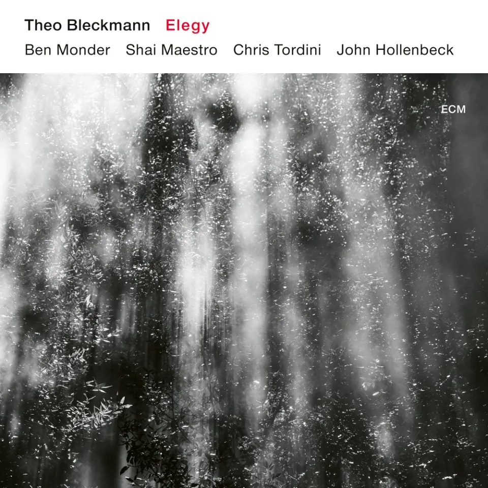 ecm-records-theo-bleckmann-elegy-cd image 1