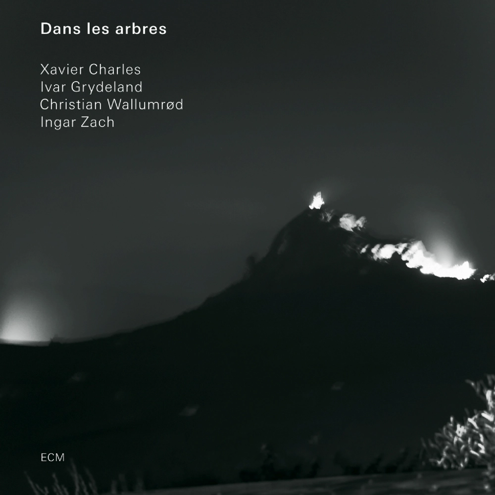 ecm-records-dans-les-arbres-quartett-cd-album image 1
