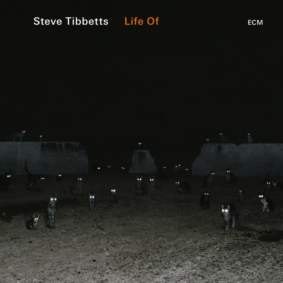 ecm-records-life-of-cd-steve-tibbetts image 1