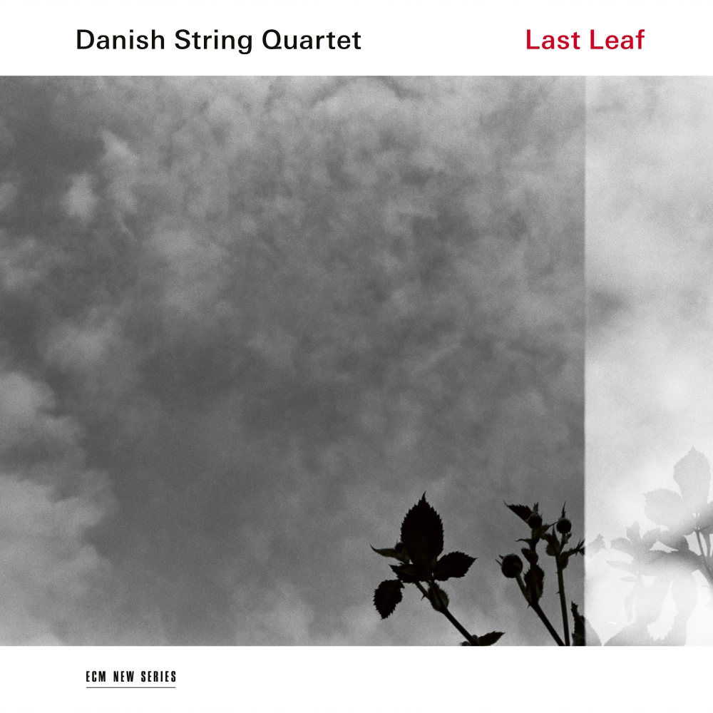ecm-records-last-leaf-cd-des-danish-string-quartet image 1