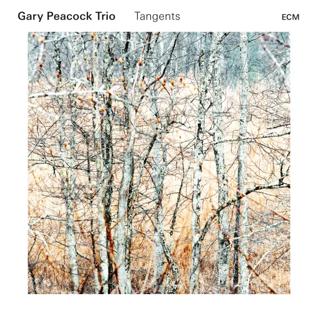 ecm-records-tangents-gary-peacock-trio-cd image 1