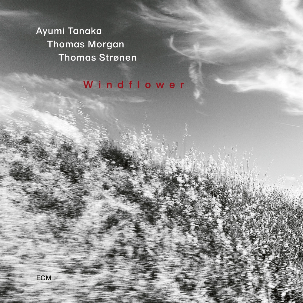 ecm-records-windflower-cd-ayumi-tanaka-trio image 1