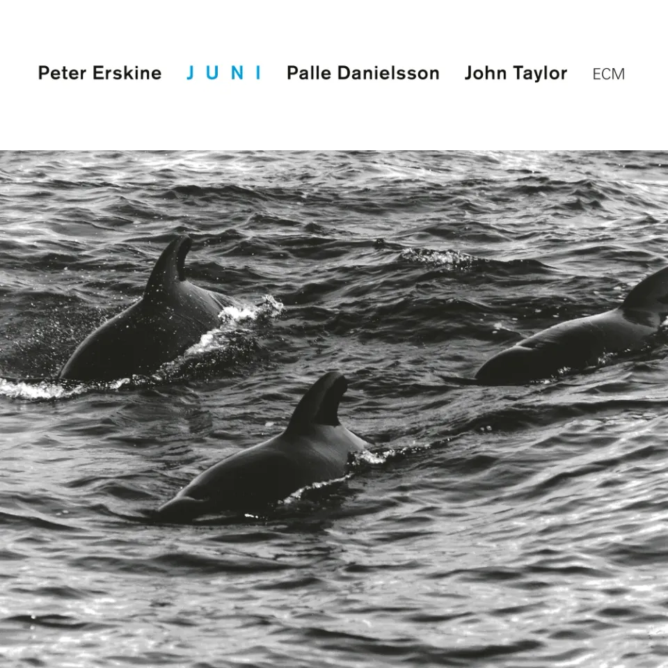 ecm-records-juni-audio-cd-peter-erskine-trio-touchstones-series image 1