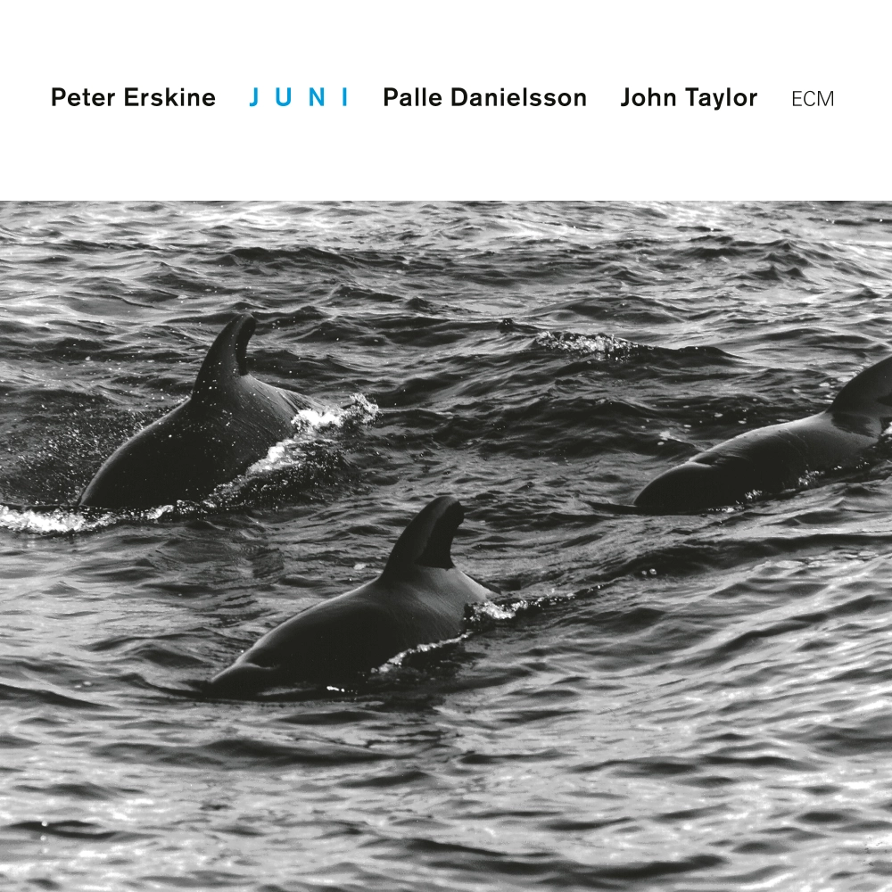 ecm-records-juni-audio-cd-peter-erskine-trio-touchstones-series image 1