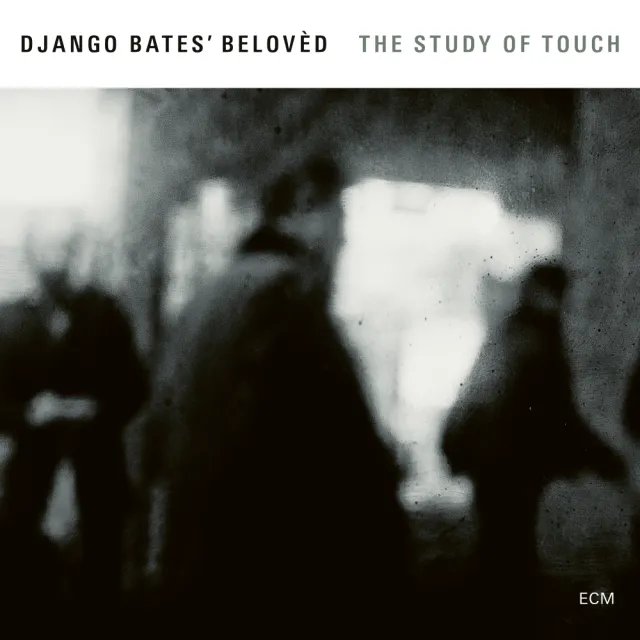 ecm-records-the-study-of-touch-cd-django-bates-belov-d-trio image 1