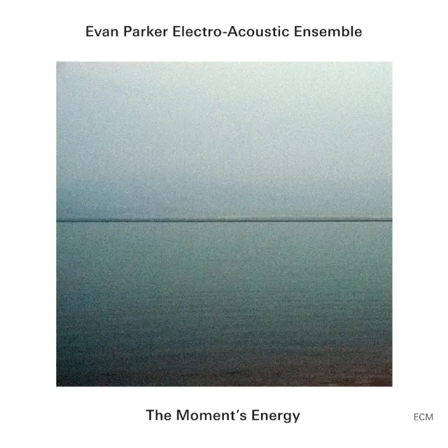 ecm-records-the-moment-s-energy-cd-evan-parker-electro-acoustic-ensemble image 1