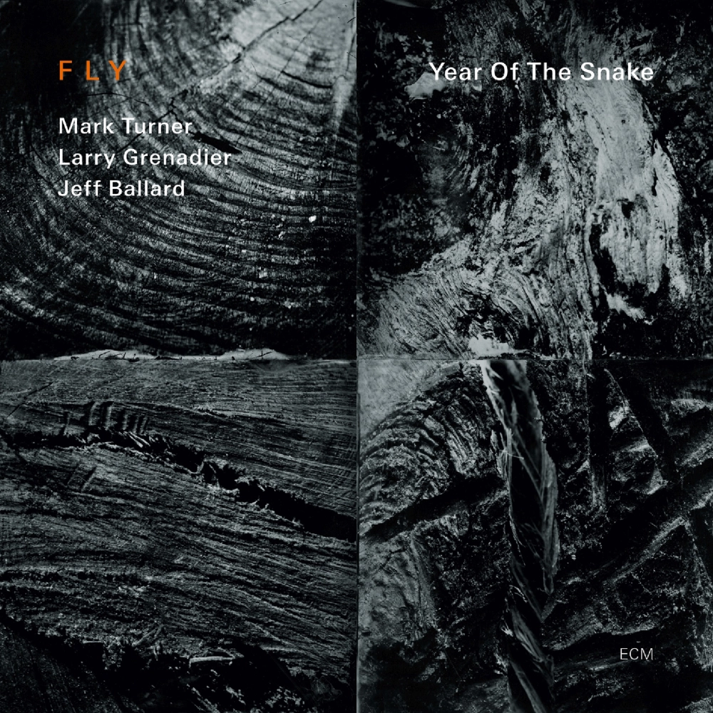 ecm-records-year-of-the-snake-von-fly-mark-turner-sax-bass-drums-trio-cd image 1