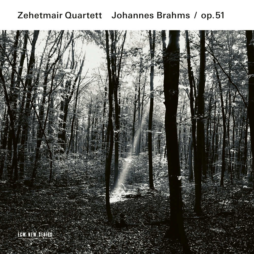ecm-records-johannes-brahms-streichquartette-op-51-zehetmair-quartett-cd image 1