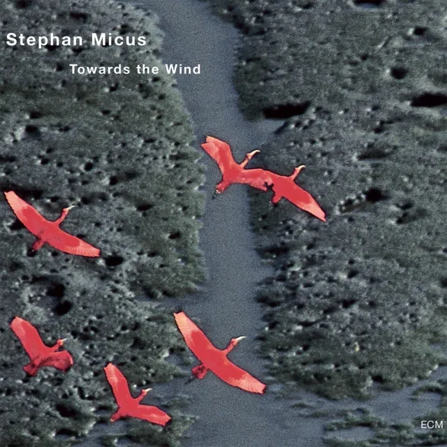 ecm-records-towards-the-wind-stephan-micus-solo-cd-mit-duduk image 1