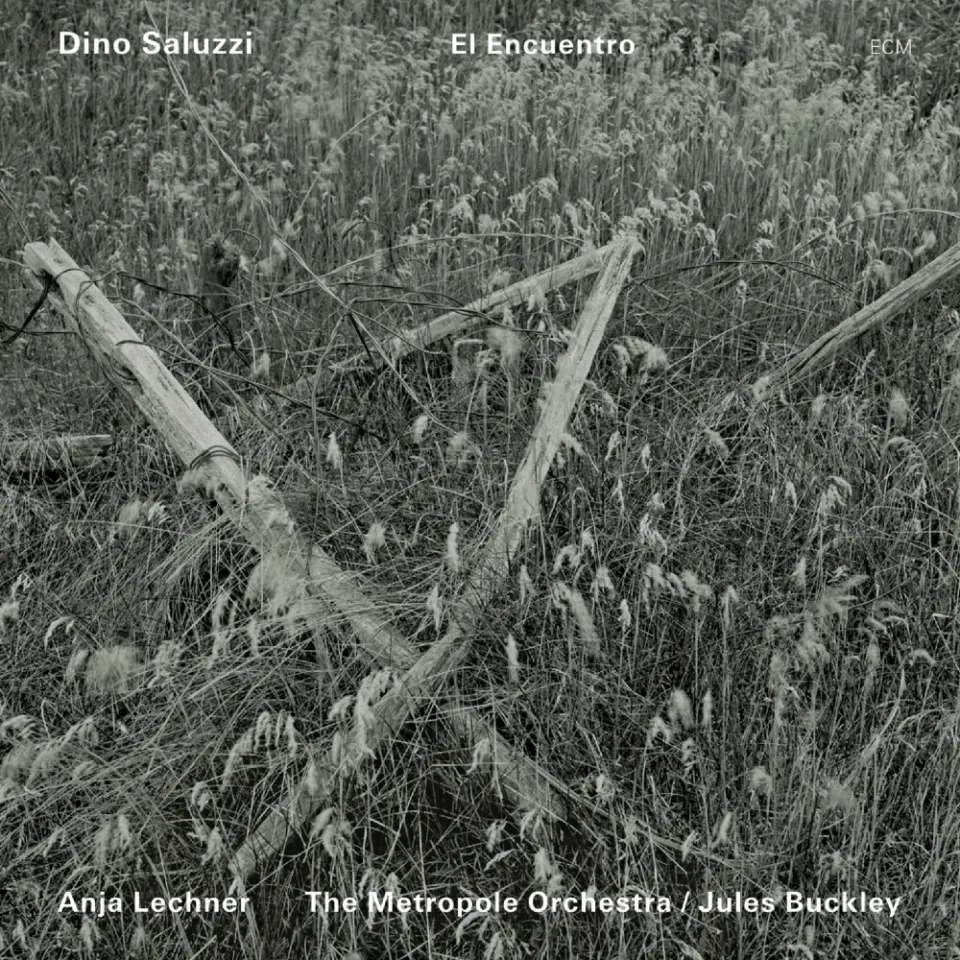 ecm-records-el-encuentro-cd-dino-saluzzi-mit-metropole-orkest-live image 1