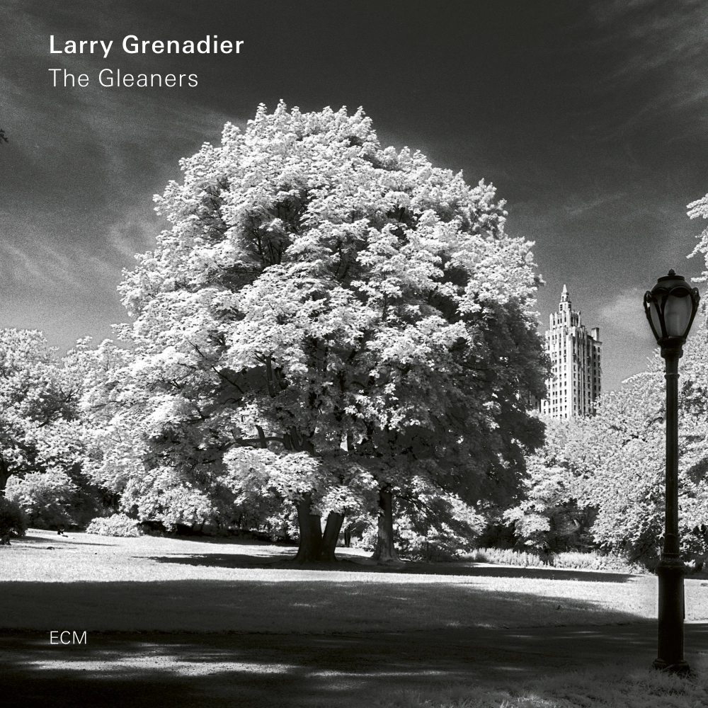ecm-records-the-gleaners-larry-grenadier-kontrabass-cd-album image 1