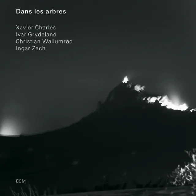 ecm-records-dans-les-arbres-quartett-cd-album image 1