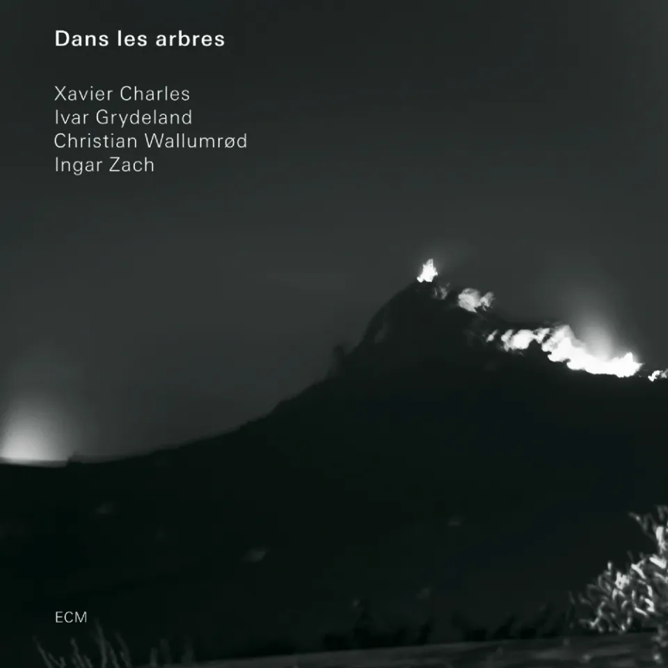 ecm-records-dans-les-arbres-quartett-cd-album image 1