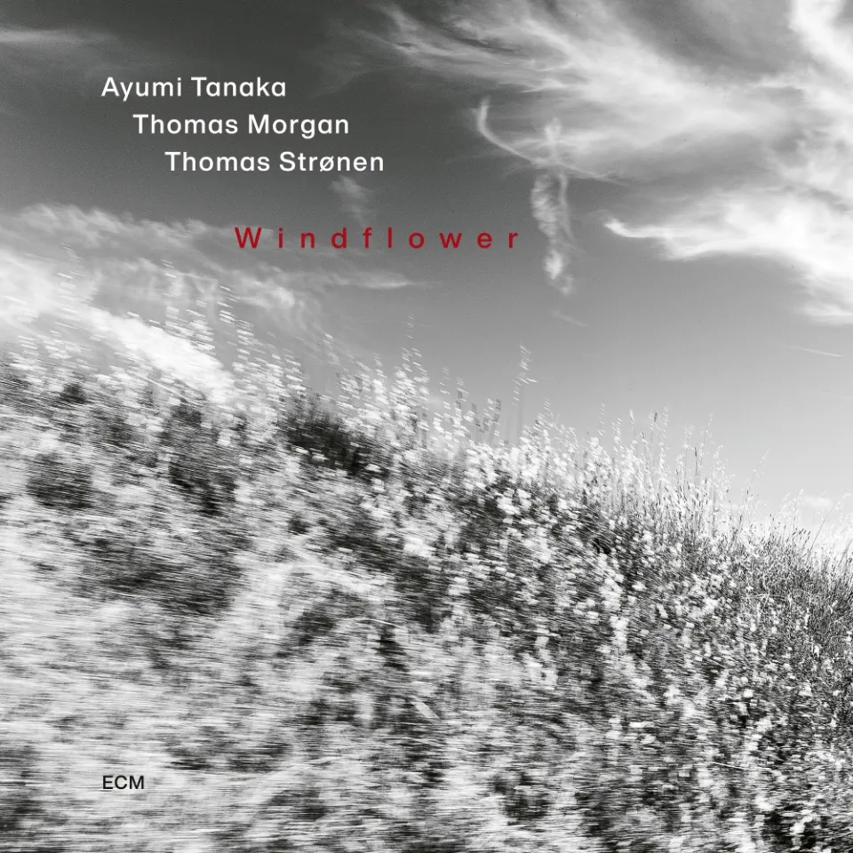 ecm-records-windflower-cd-ayumi-tanaka-trio image 1