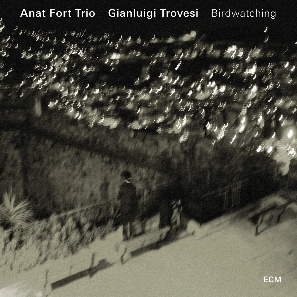 ecm-records-anat-fort-birdwatching-mit-gianluigi-trovesi-piano-jazz-cd image 1