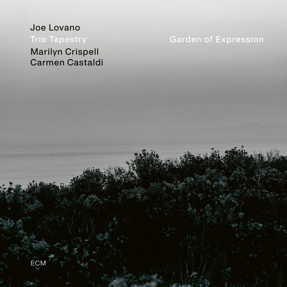 ecm-records-garden-of-expression-jazz-cd-joe-lovano-trio-tapestry image 1