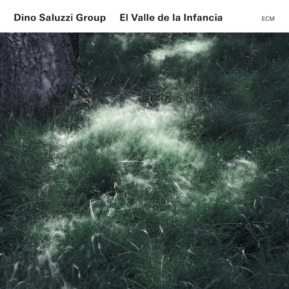 ecm-records-dino-saluzzi-el-valle-de-la-infancia-cd-family-band-album image 1