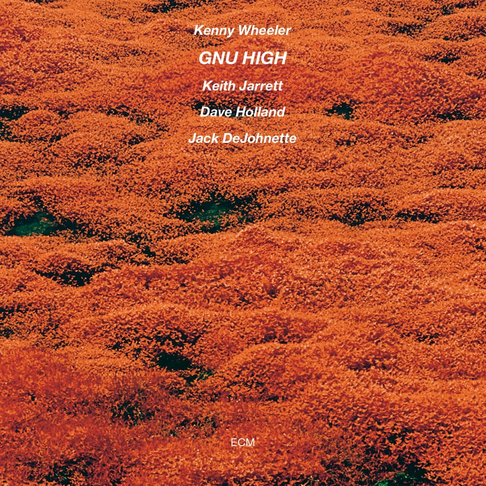 ecm-records-gnu-high-kenny-wheeler-luminessence-vinyl-lp-audiophile-reissue image 1