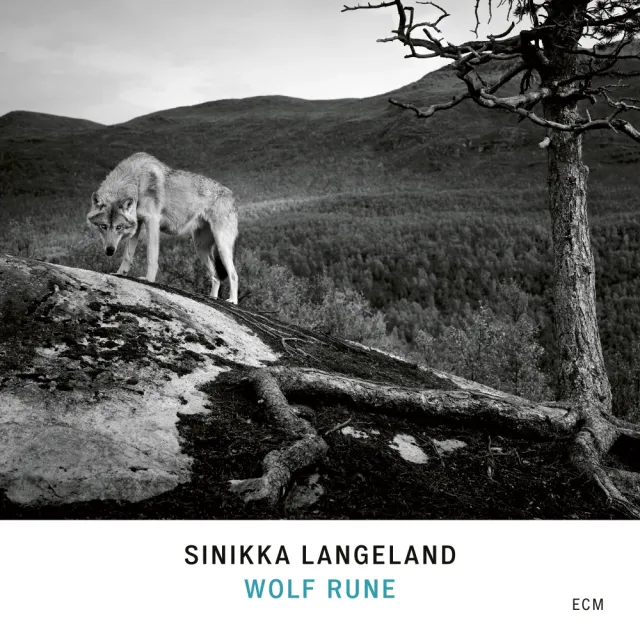 ecm-records-sinikka-langeland-wolf-rune-solo-cd-kantele image 1