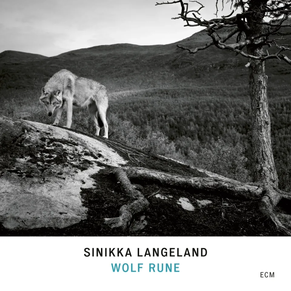 ecm-records-sinikka-langeland-wolf-rune-solo-cd-kantele image 1