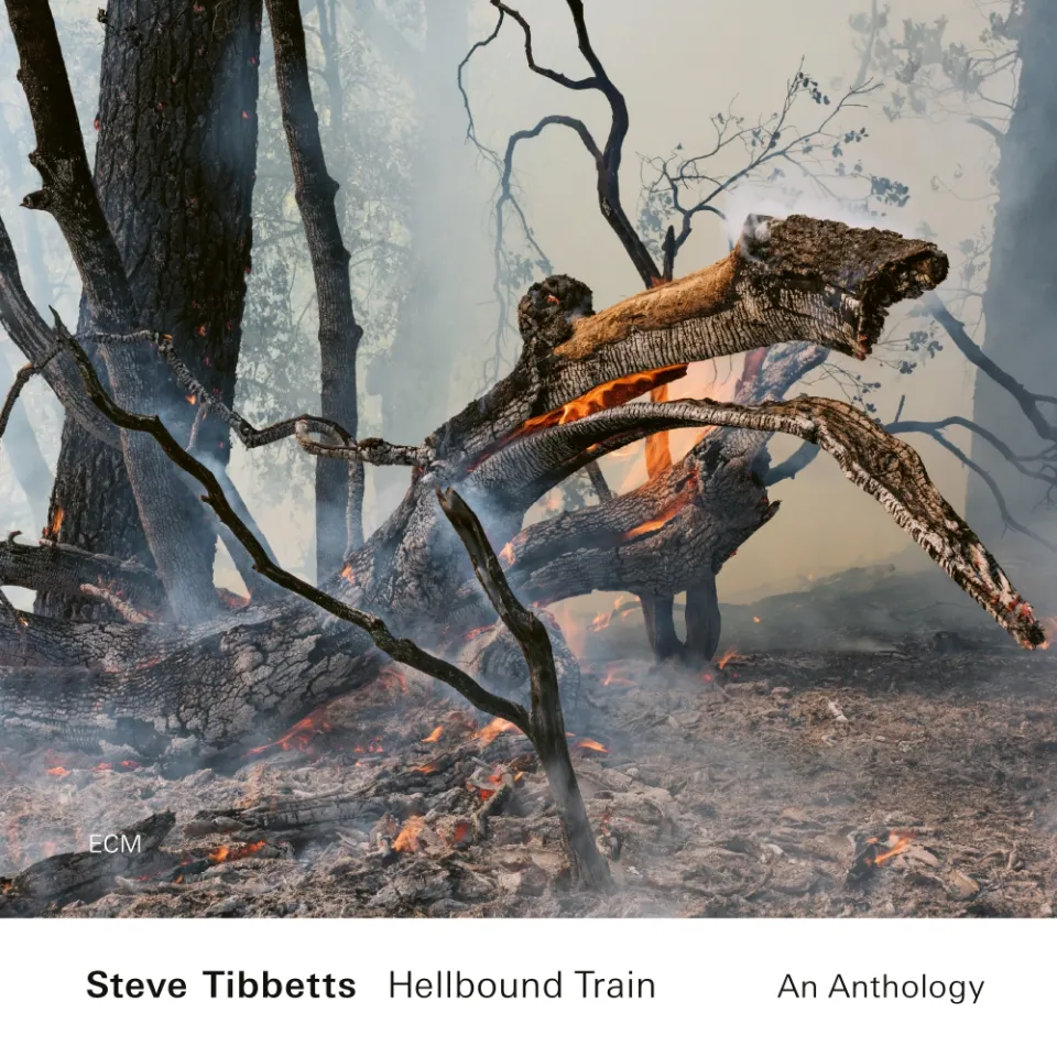 ecm-records-hellbound-train-an-anthology-steve-tibbetts-doppel-cd image 1