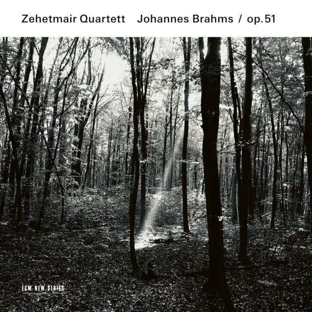 ecm-records-johannes-brahms-streichquartette-op-51-zehetmair-quartett-cd image 1