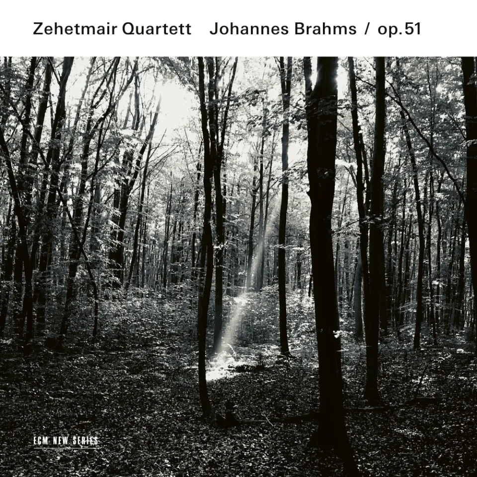 ecm-records-johannes-brahms-streichquartette-op-51-zehetmair-quartett-cd image 1
