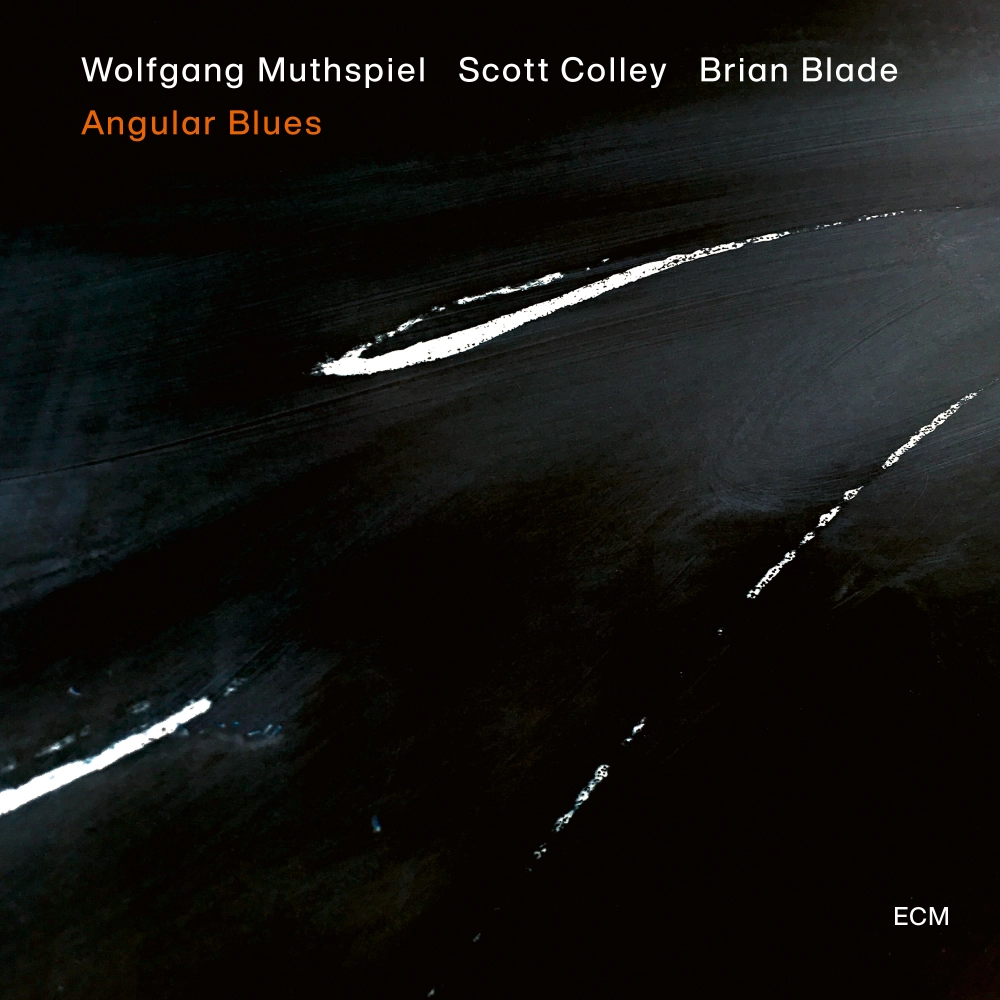 ecm-records-angular-blues-wolfgang-muthspiel-trio-jazz-cd image 1