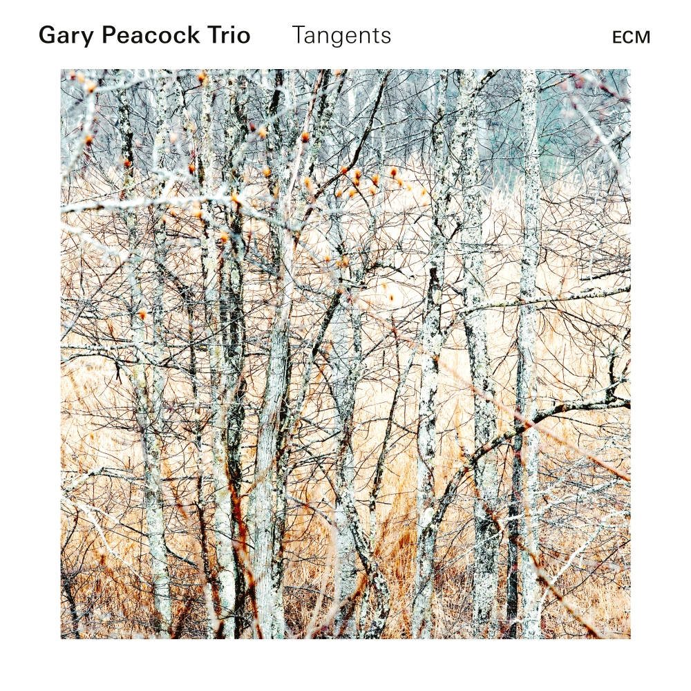 ecm-records-tangents-gary-peacock-trio-cd image 1