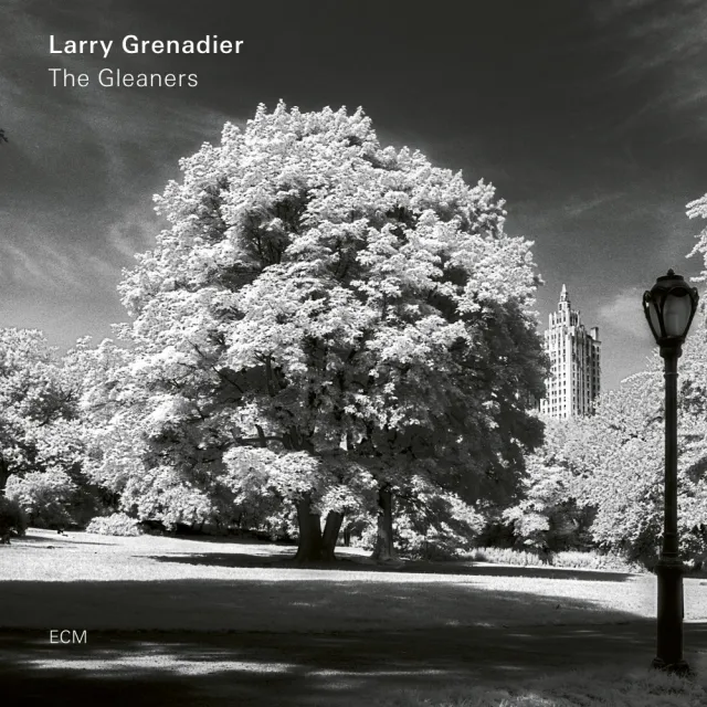 ecm-records-the-gleaners-larry-grenadier-kontrabass-cd-album image 1