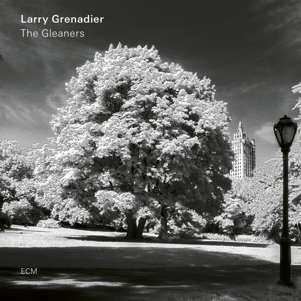 ecm-records-the-gleaners-larry-grenadier-kontrabass-cd-album image 1